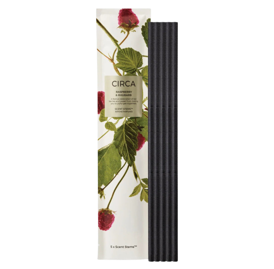 🎄 Raspberry & Rhubarb Scent Stem Refill