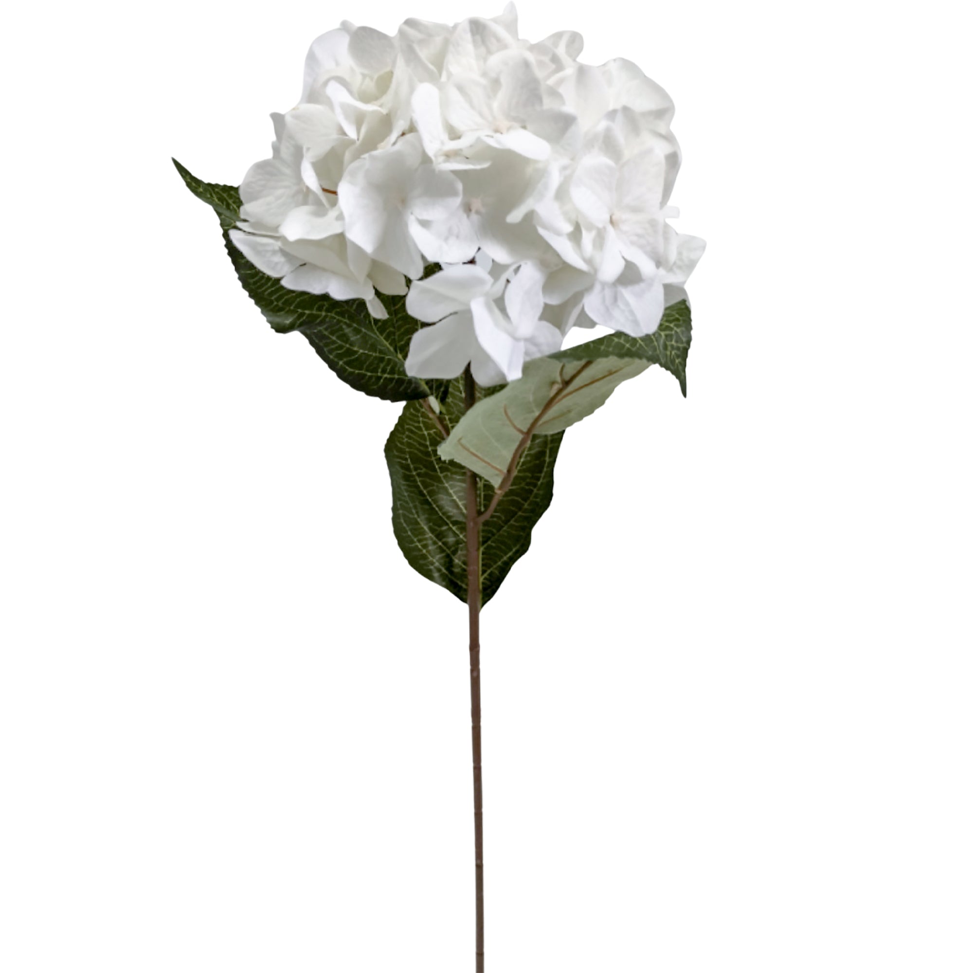 Hydrangea Real Touch - White