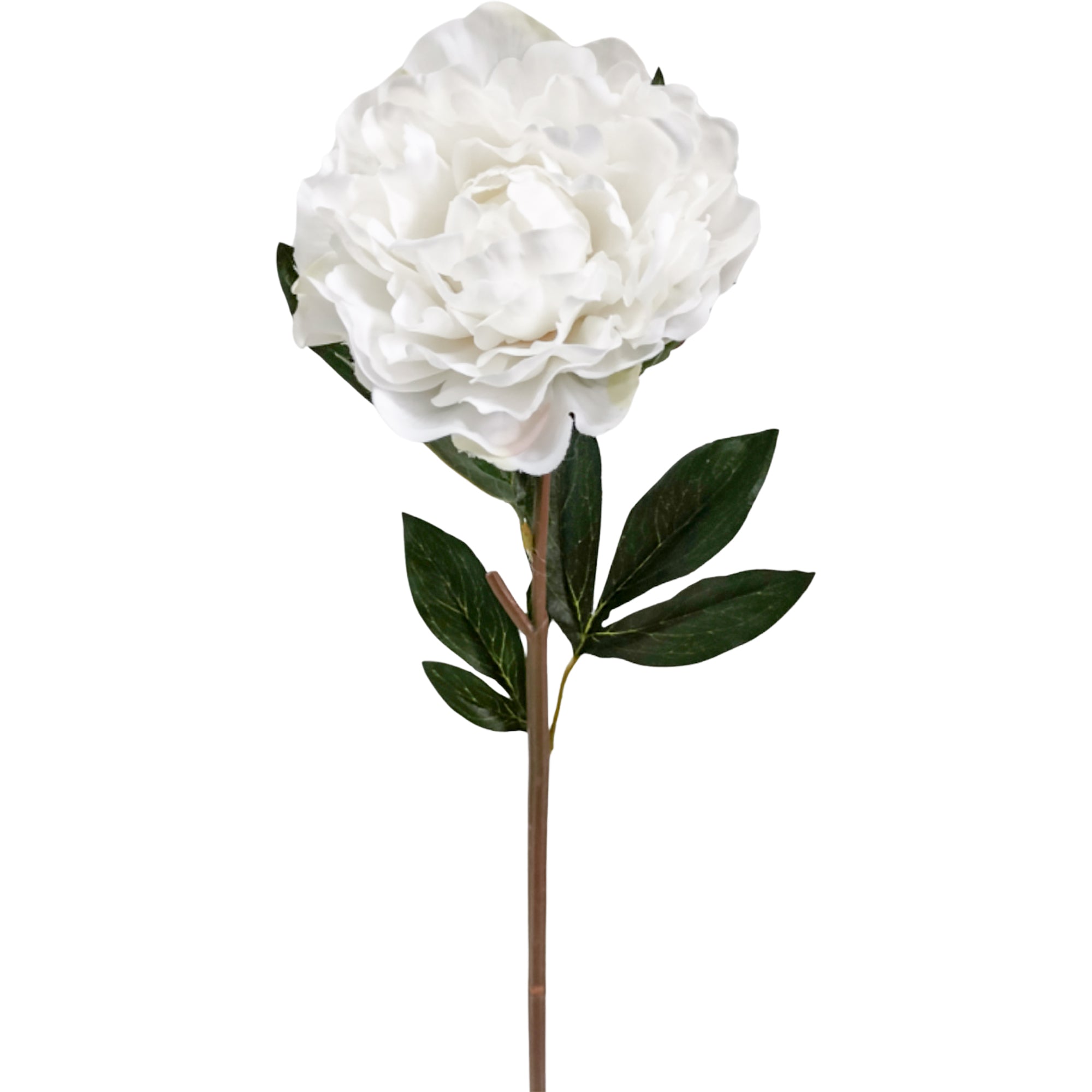 White Peony Real Touch Flower