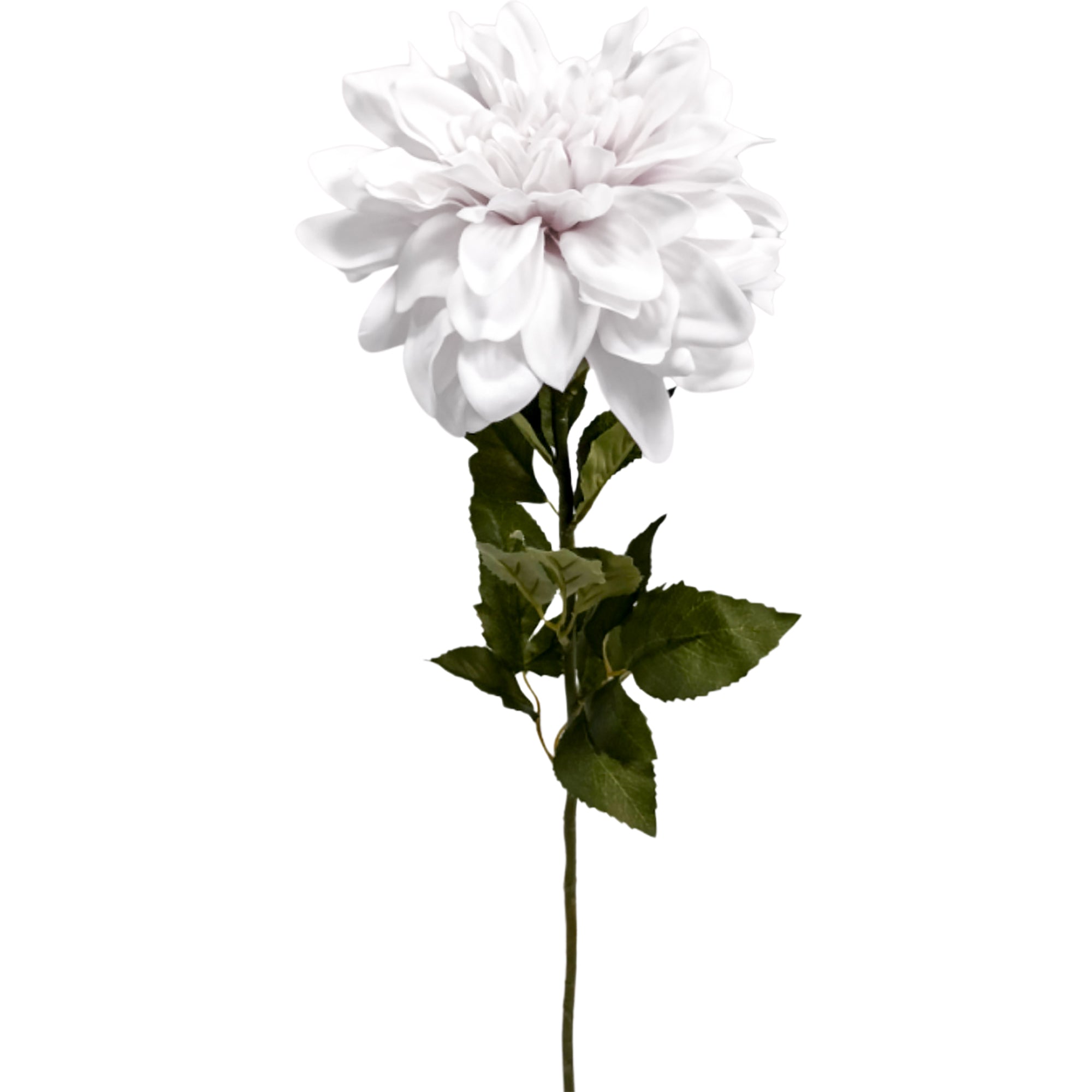 Dahlia White Real Touch Flower