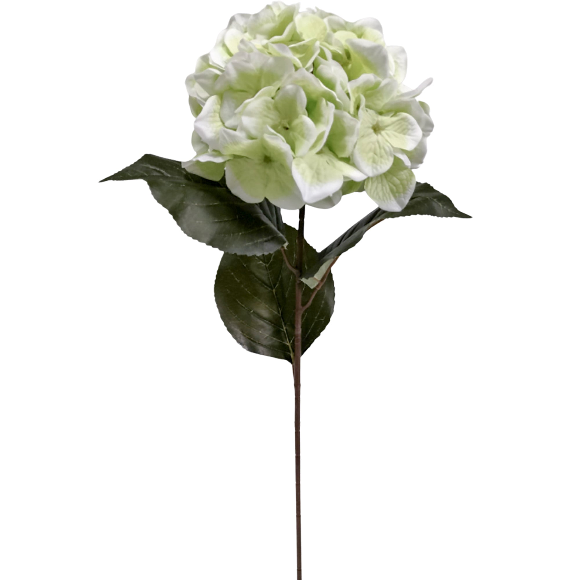 Hydrangea Real Touch - Green