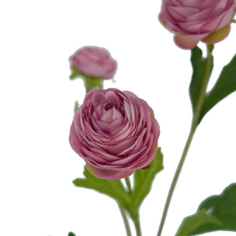 Pink Ranunculus Spray Flower