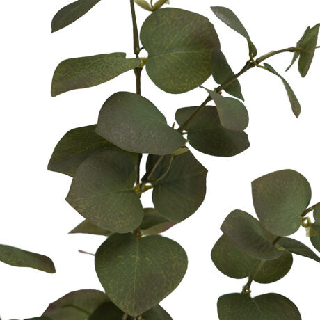 Money Leaves Spray Branch