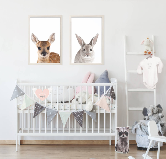 Baby Collection