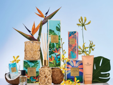 Glasshouse Limited Edition