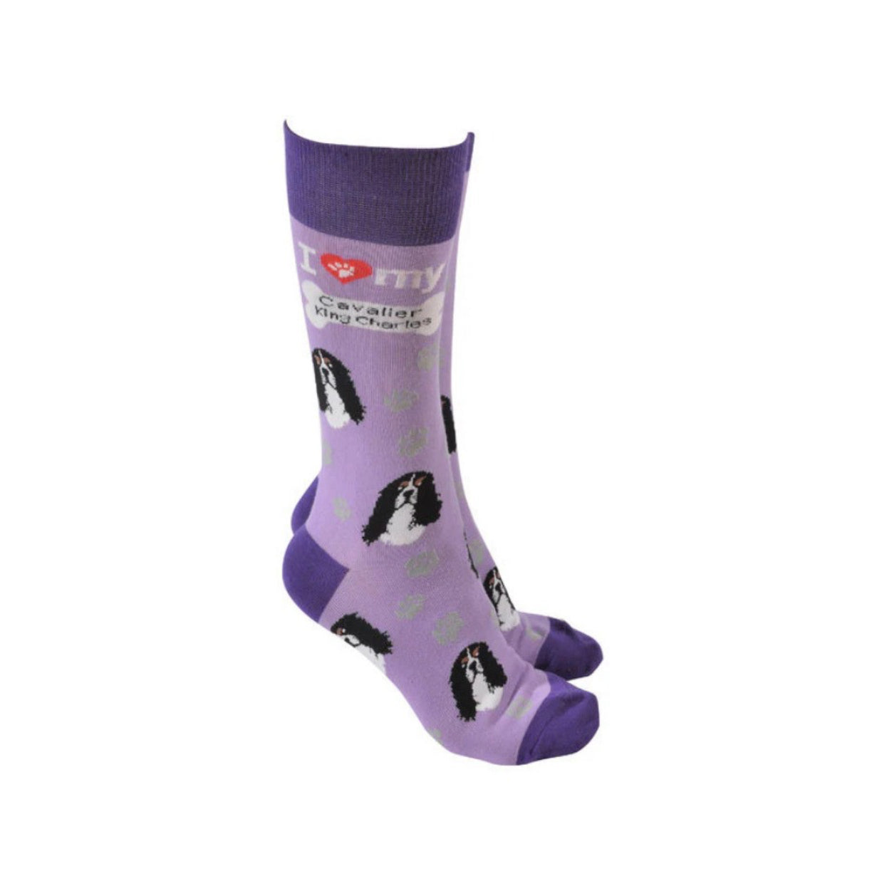 Sock Society - Cavalier King