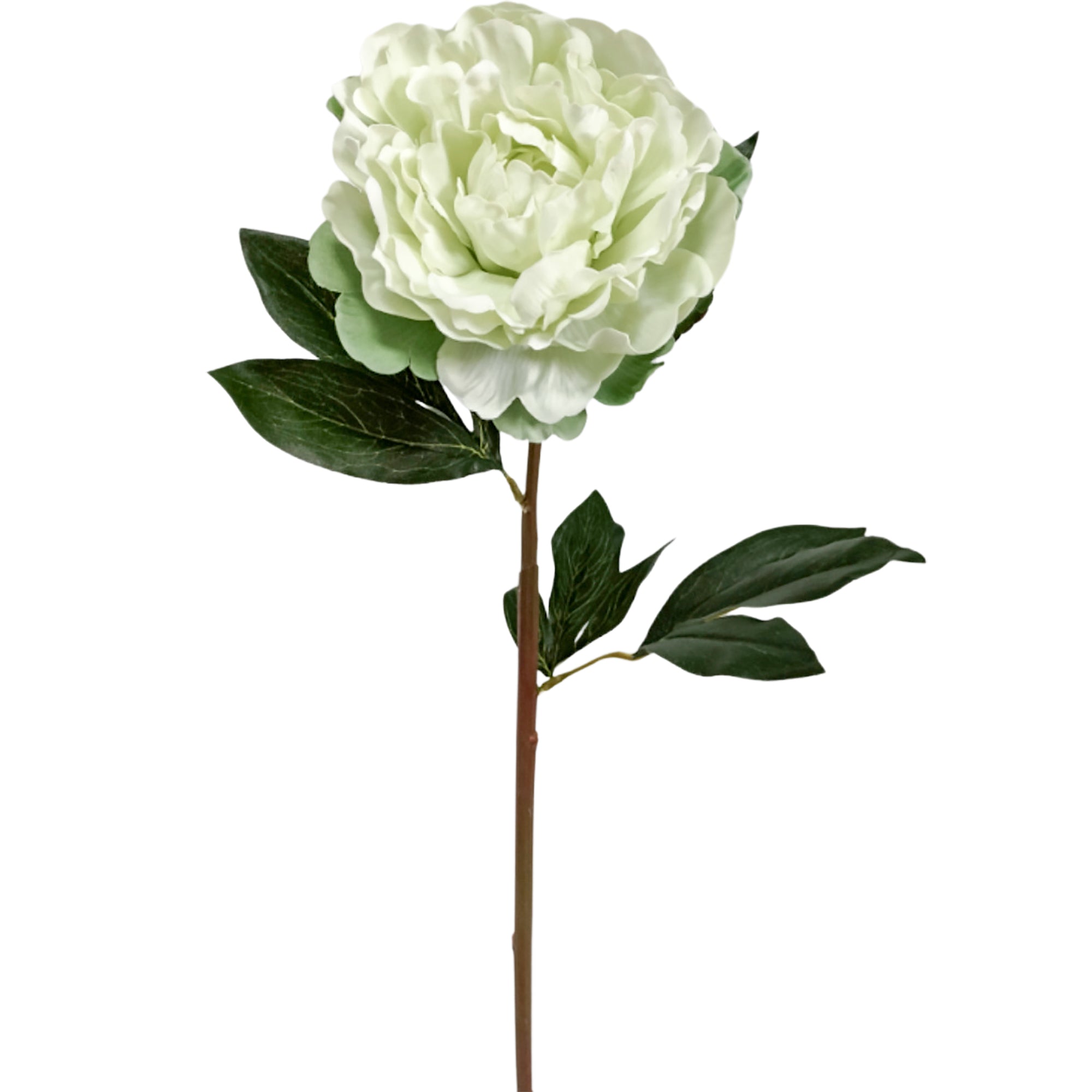 Green Peony Real Touch Flower
