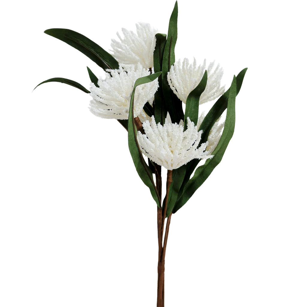 Bristle Blossom - White