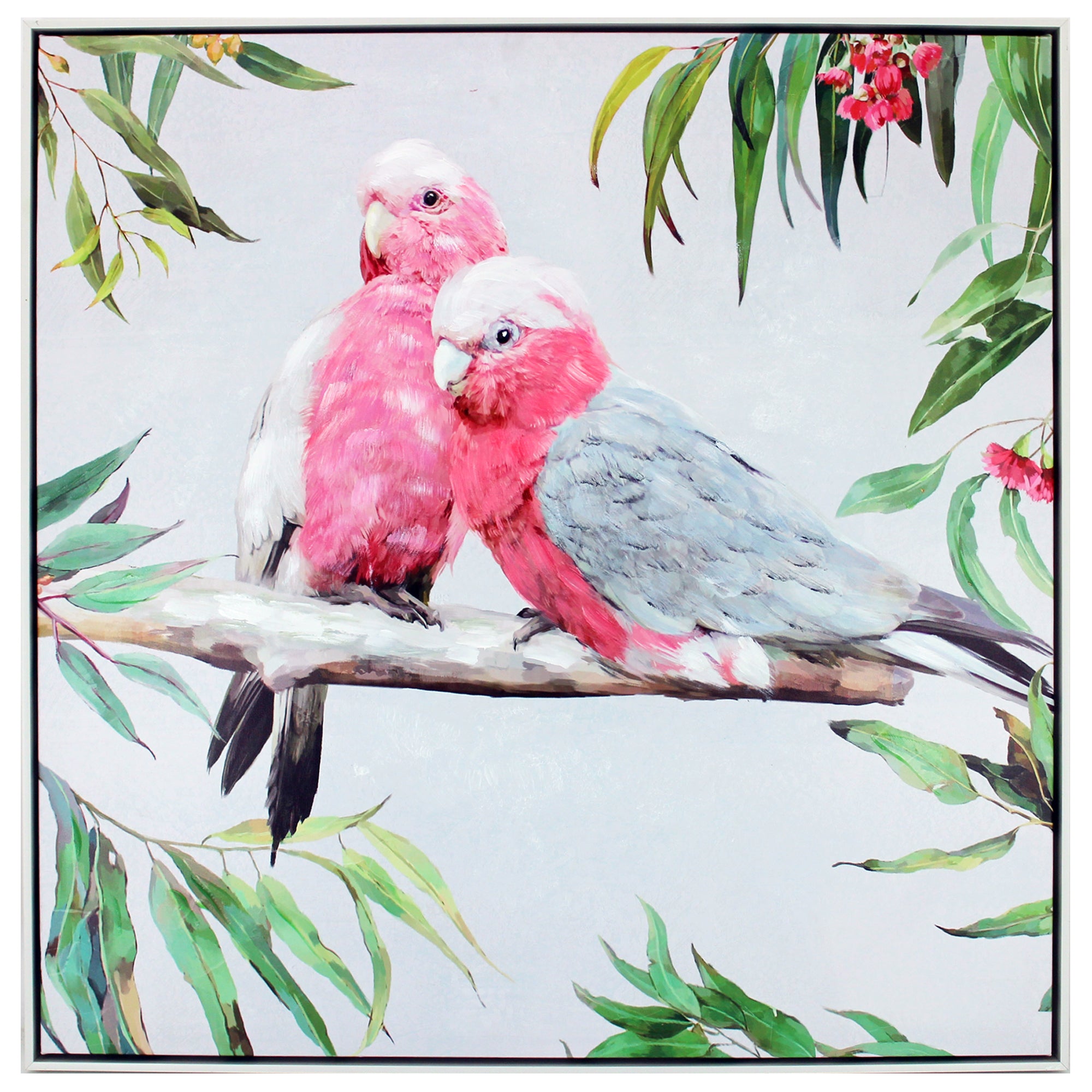 Rosie Galah Canvas