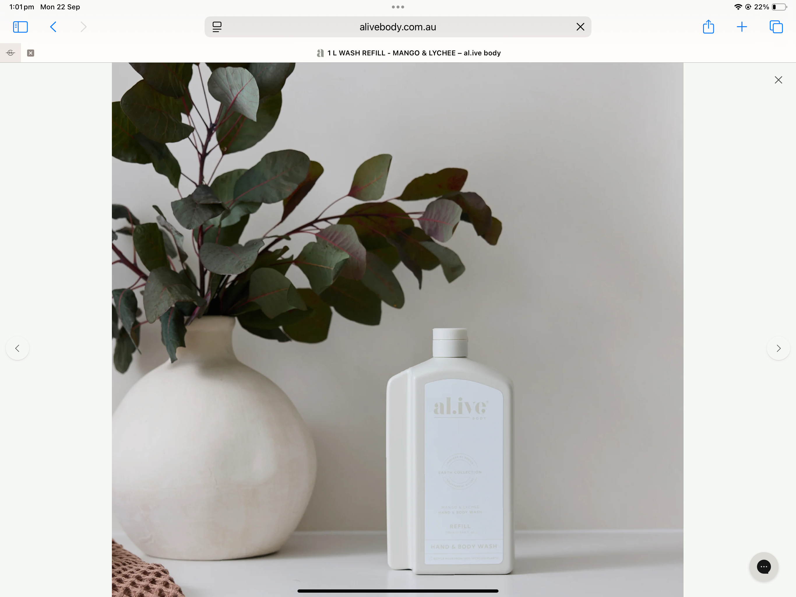 1L Wash Refill - Mango & Lychee