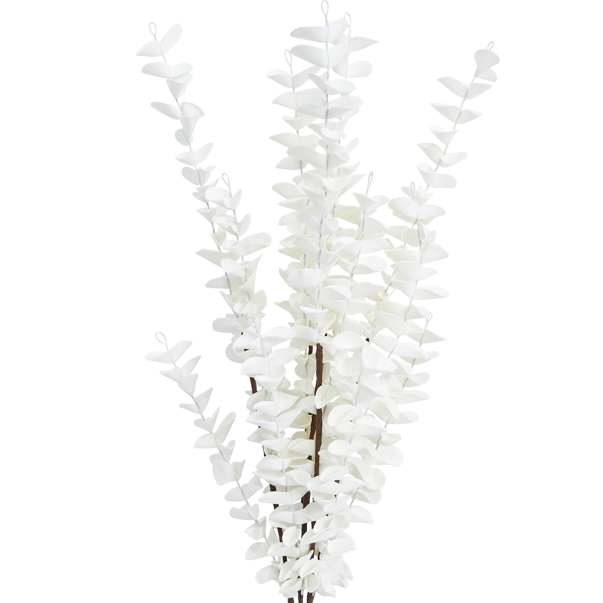 Tallerack White Branch