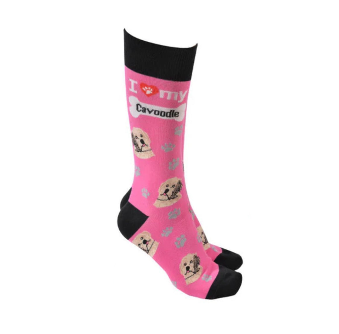 Sock Society - Cavoodle