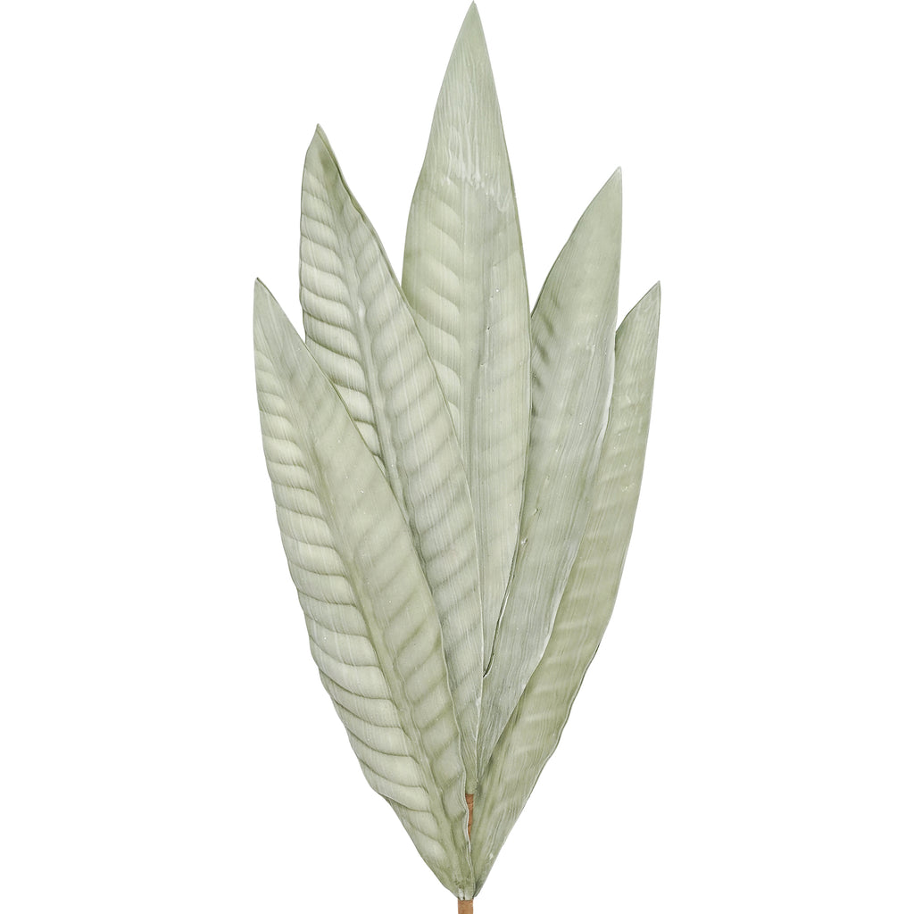 Foliage Fiesta - Green