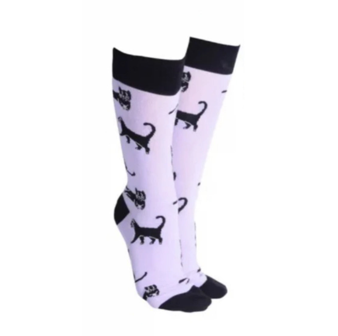 Sock Society - Black Cats