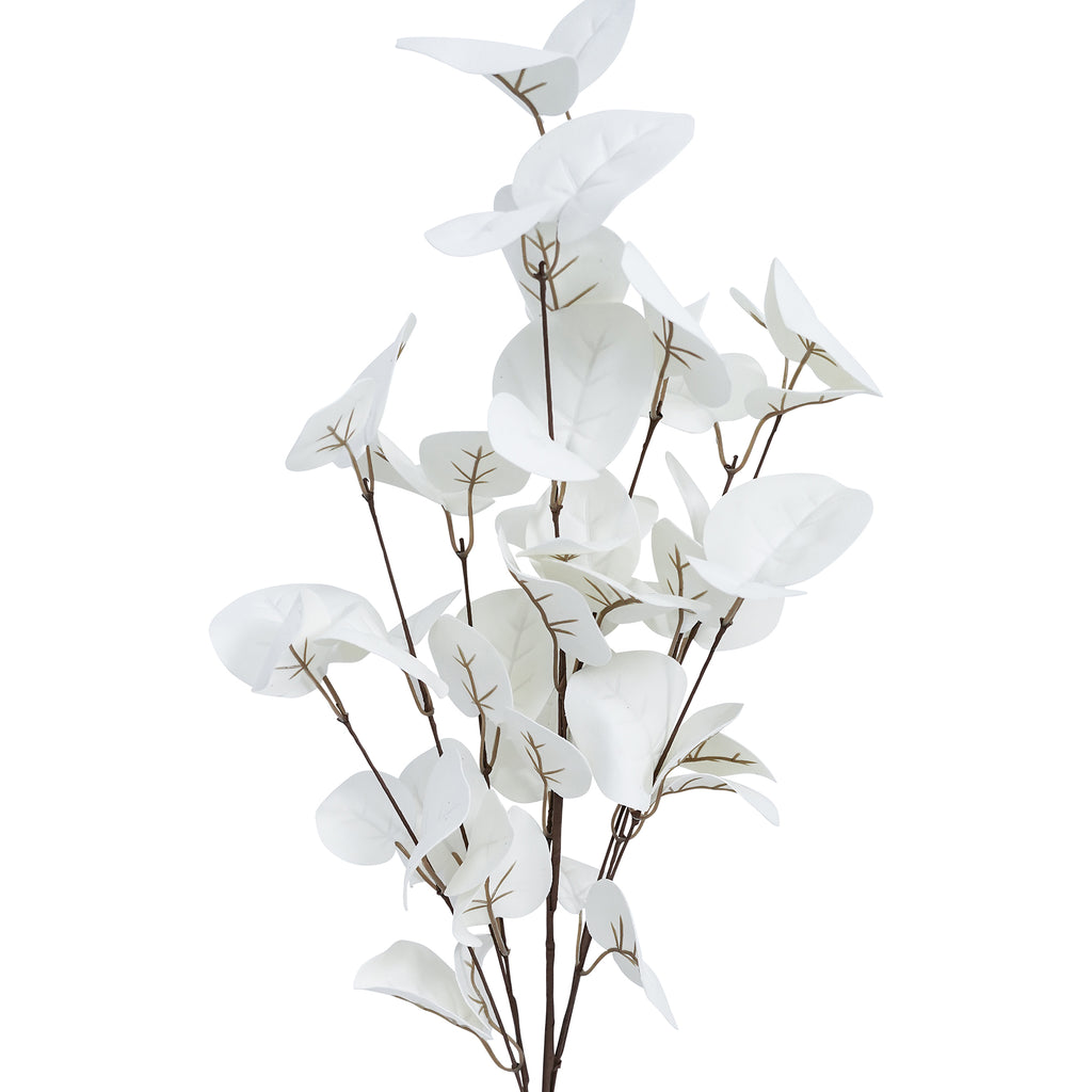 Lyptus Leaves White