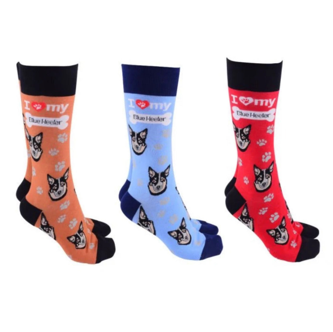 Sock Society - Blue Heeler