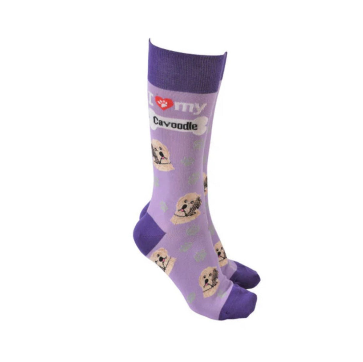 Sock Society - Cavoodle