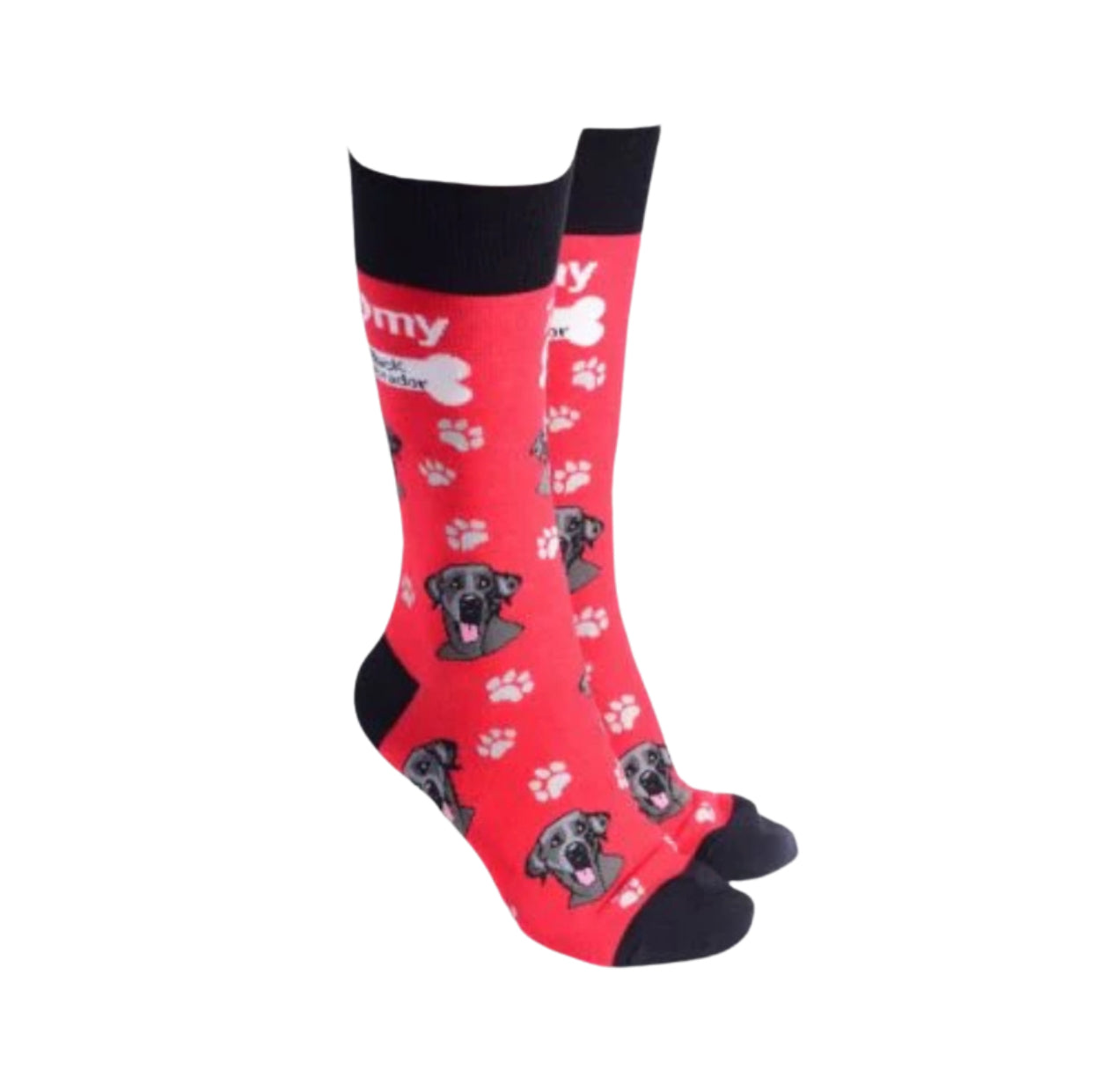 Sock Society - Black Labrador