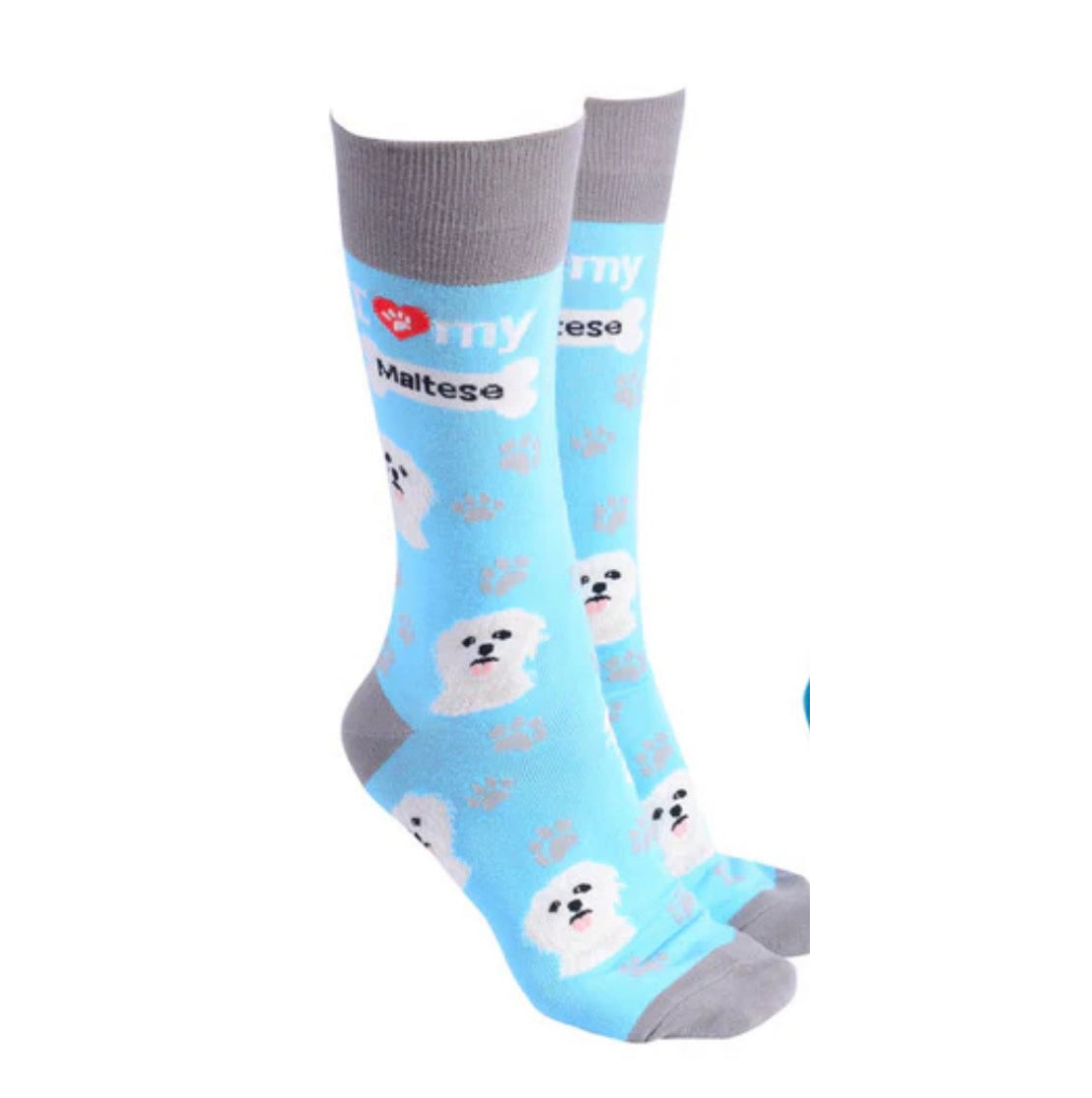 Sock Society - Maltese