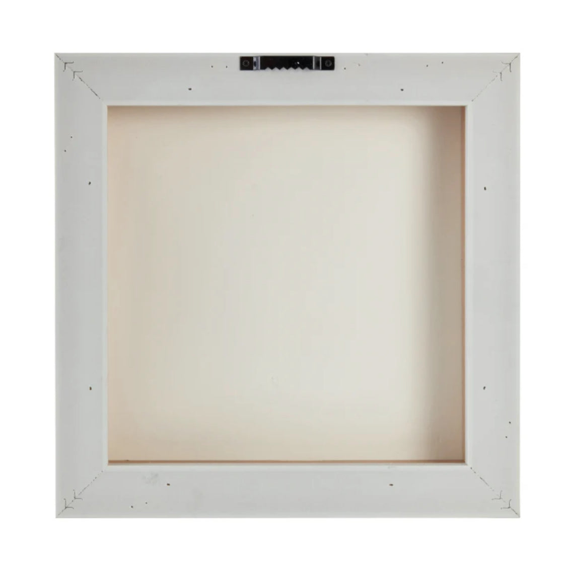 Talulah Toucan Framed Canvas 34x34cm