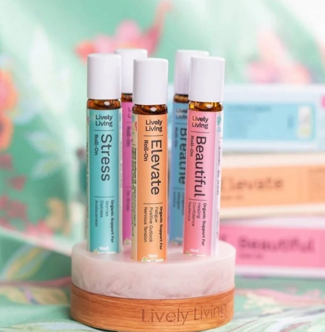 Essential Oil ROLL-ON Stand - Holder