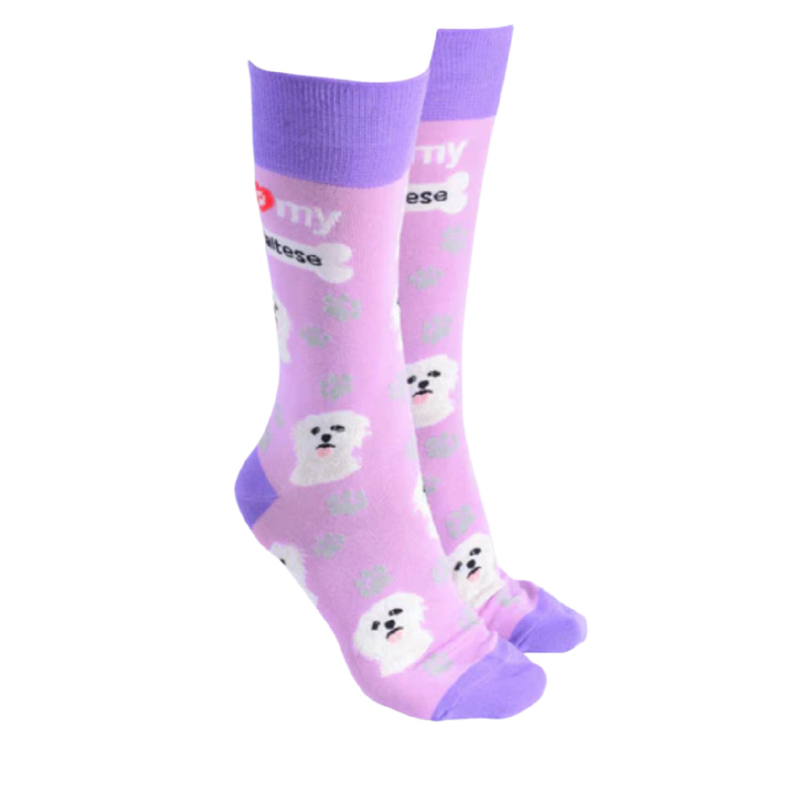 Sock Society - Maltese