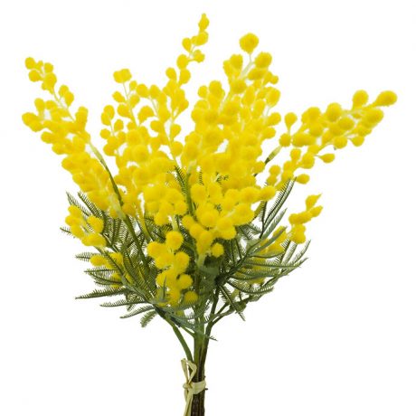 Wattle Yellow Mimosa Bouquet 42cm