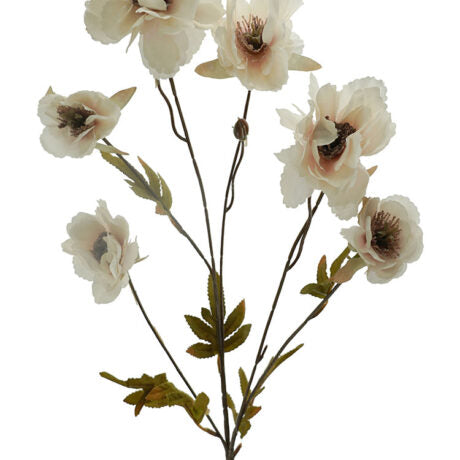 Dried Pink Peony Spray 78cm