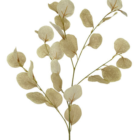 Silver Dollar Neutral Spray 90cm