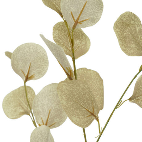 Silver Dollar Neutral Spray