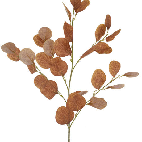 Silver Dollar Orange Spray 90cm
