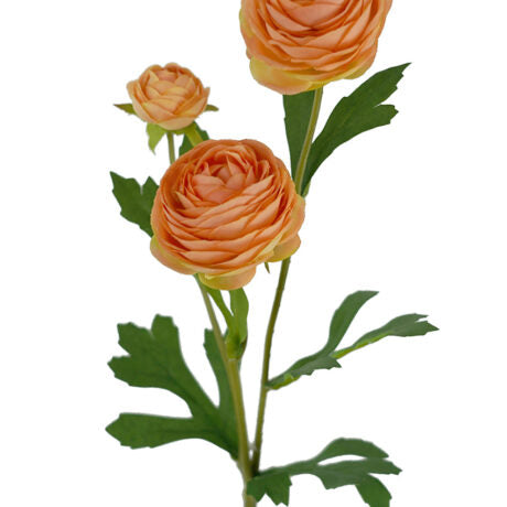 Orange Ranunculus Spray Flower