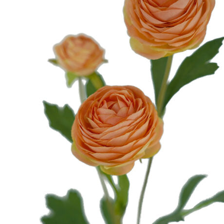 Orange Ranunculus Spray Flower
