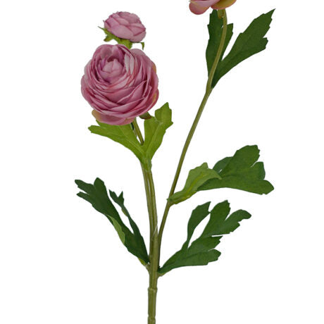 Pink Ranunculus Spray Flower