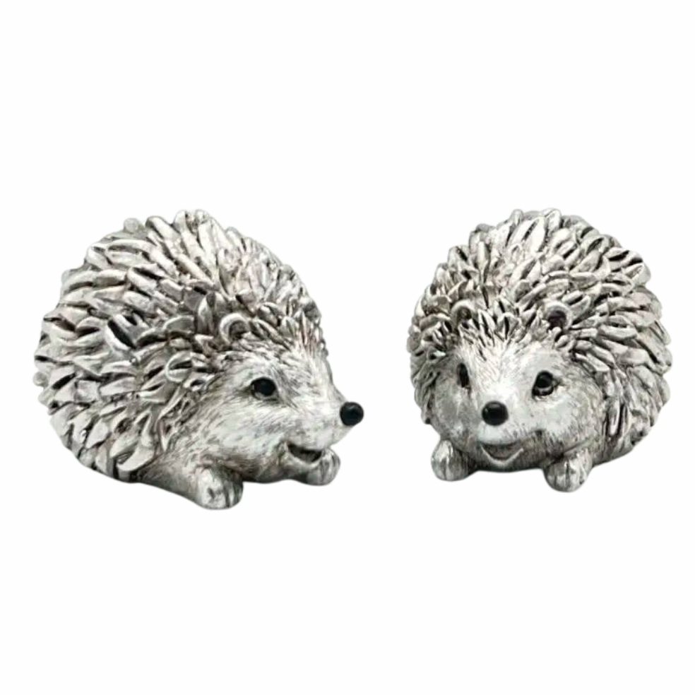 Silver Echidna