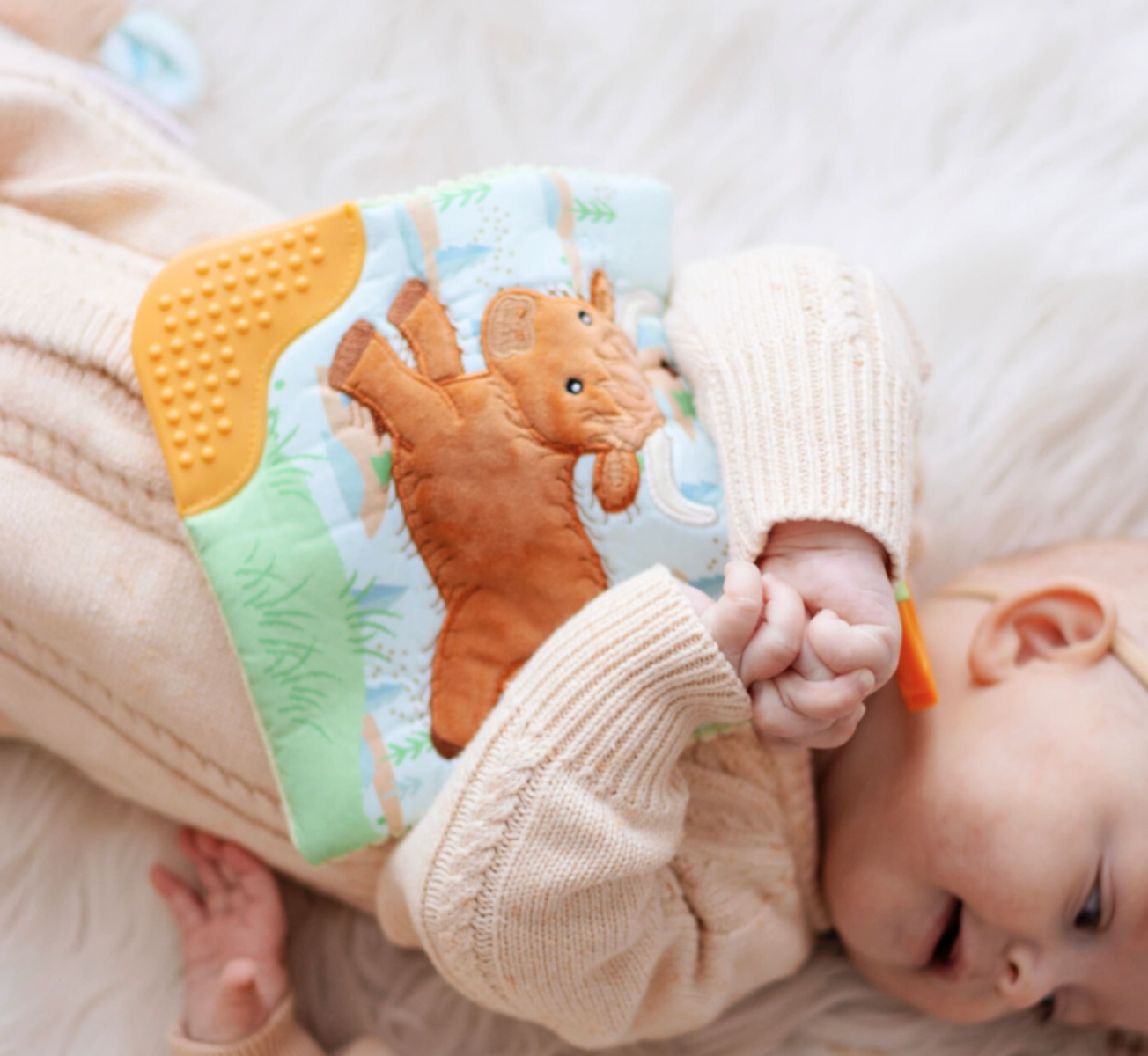 Mary Meyer Hetty Highland Cow Crinkle Teether