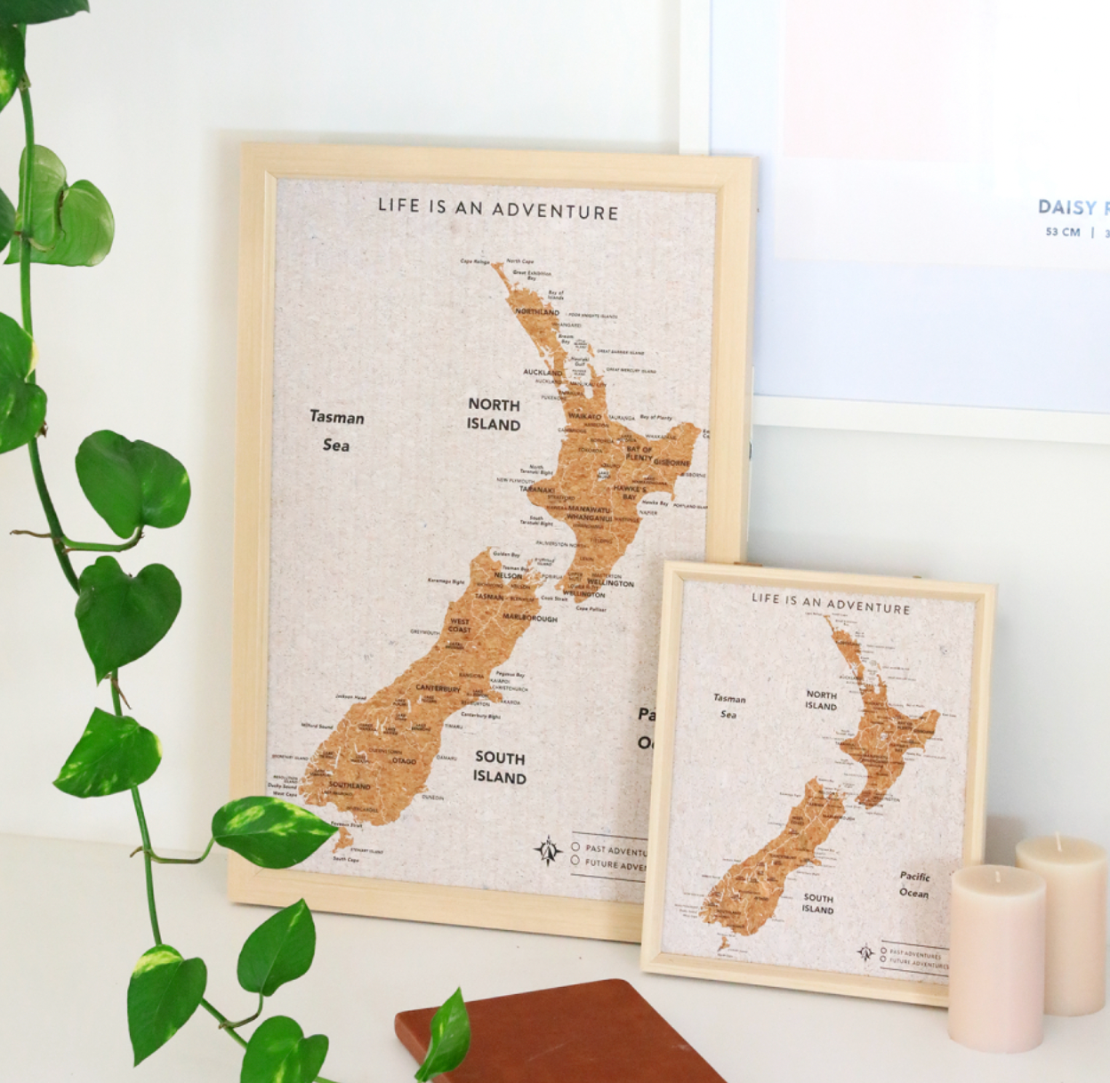 Travel Board New Zealand Small Map