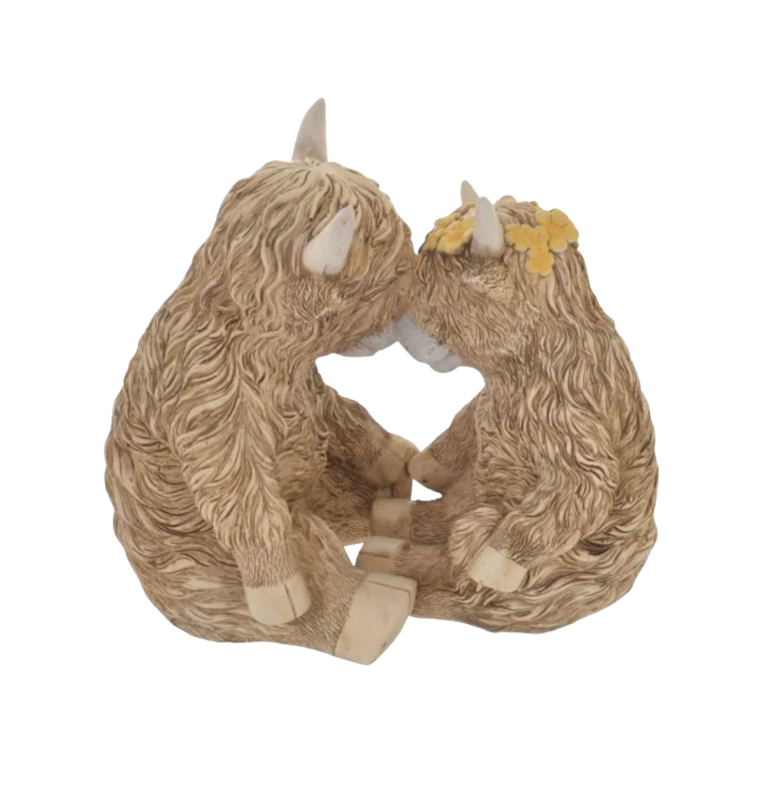 Highland Cow Couple