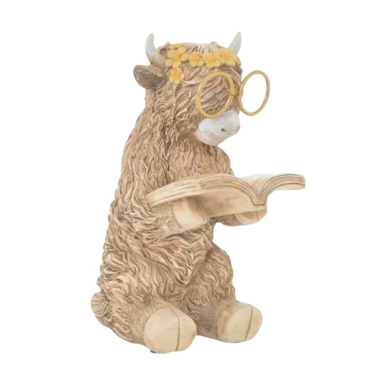 Highland Cow Reading