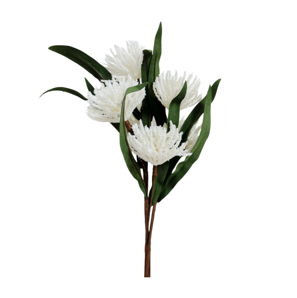 White Bristle Blossom