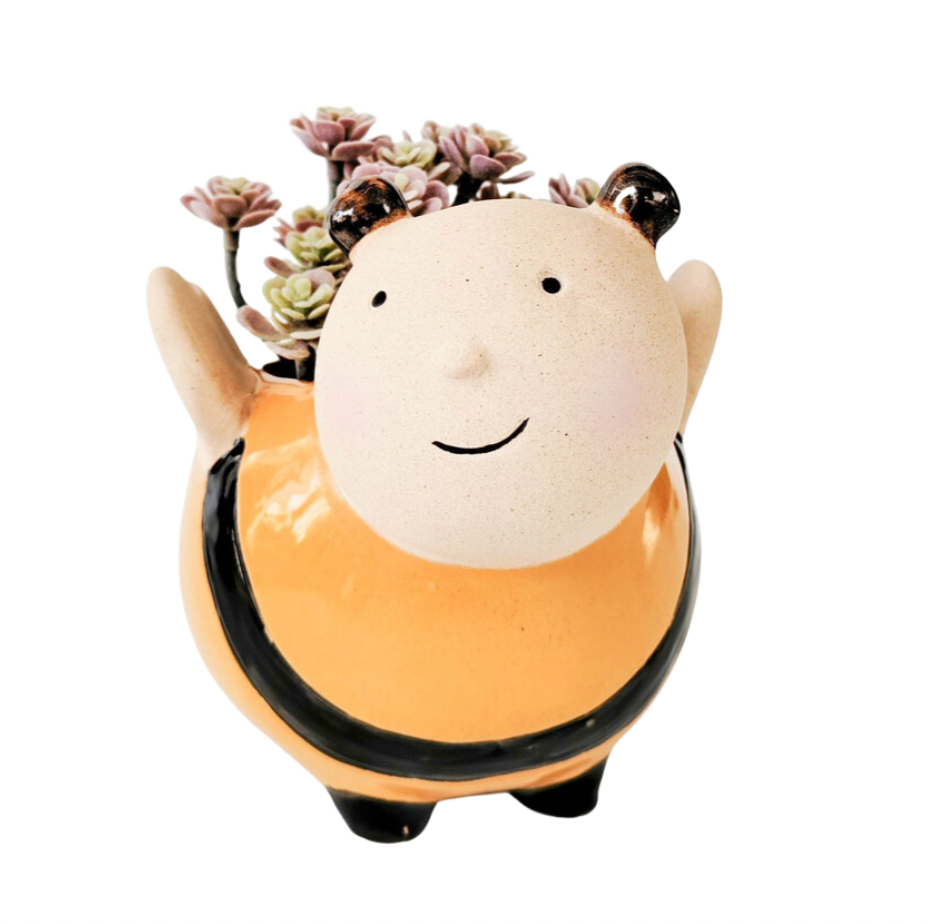 Bee Planter - Black & Yellow
