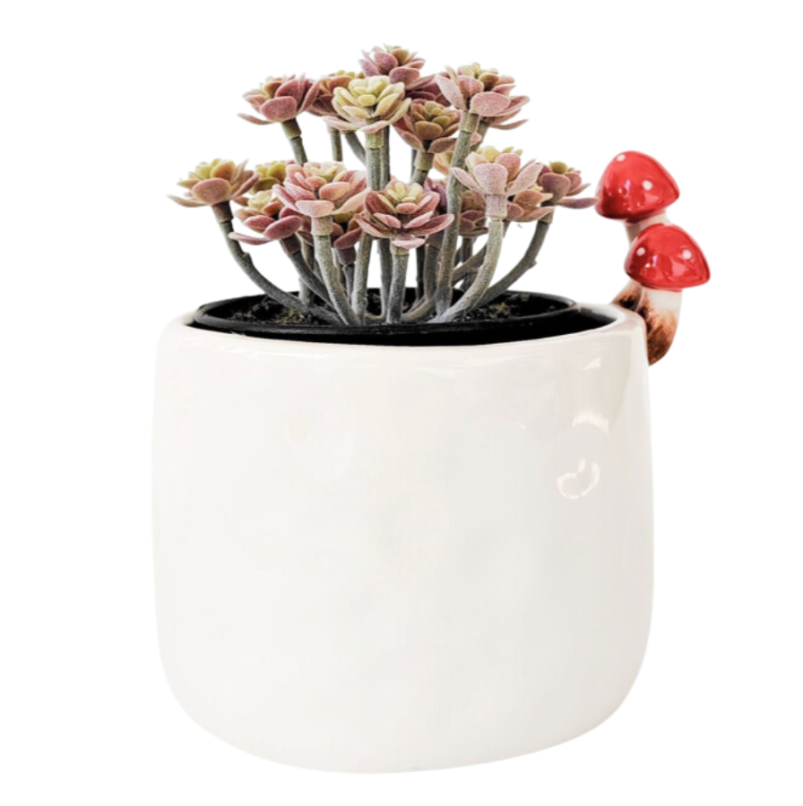 Toadstool Planter - 2 sizes available