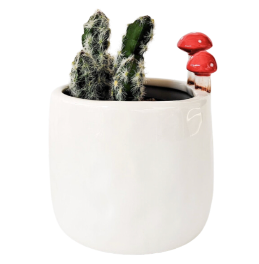 Toadstool Planter - 2 sizes available