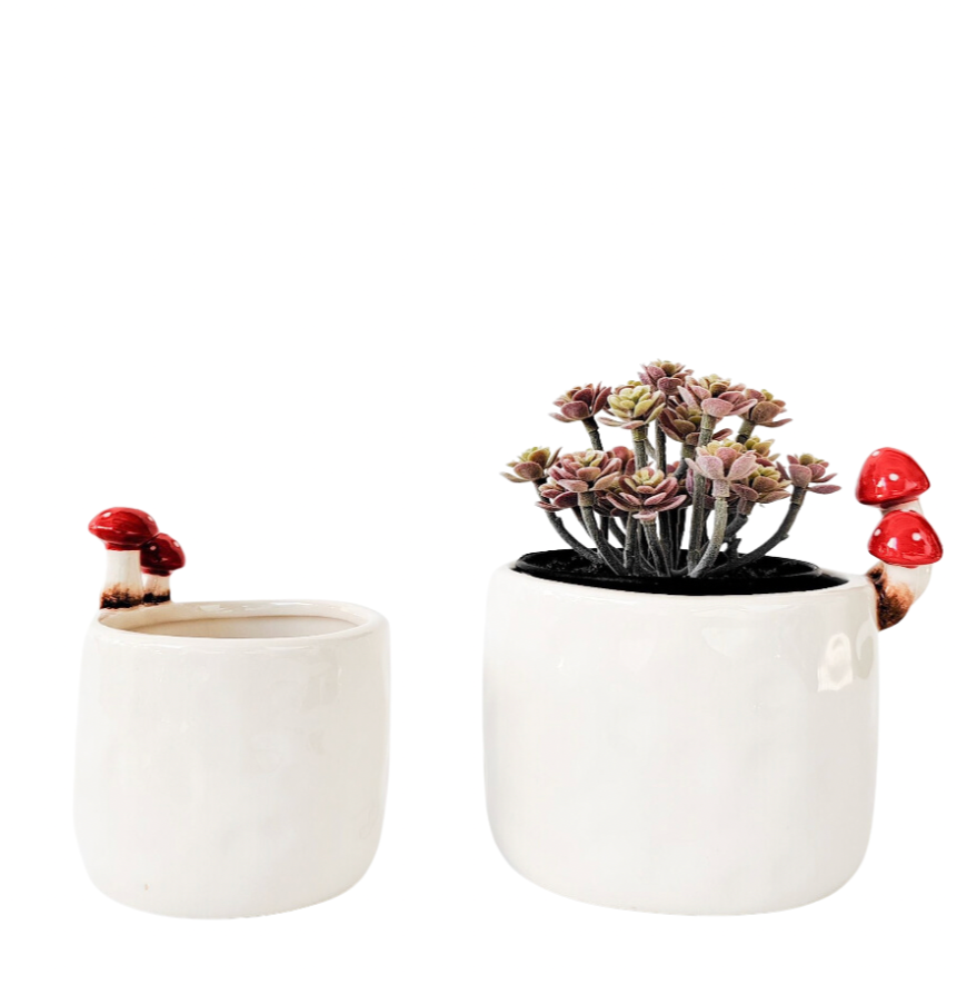 Toadstool Planter - 2 sizes available