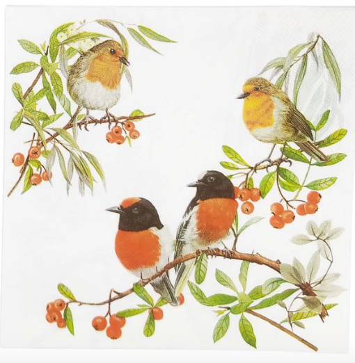 Australian Birds Napkins - 4 Designs