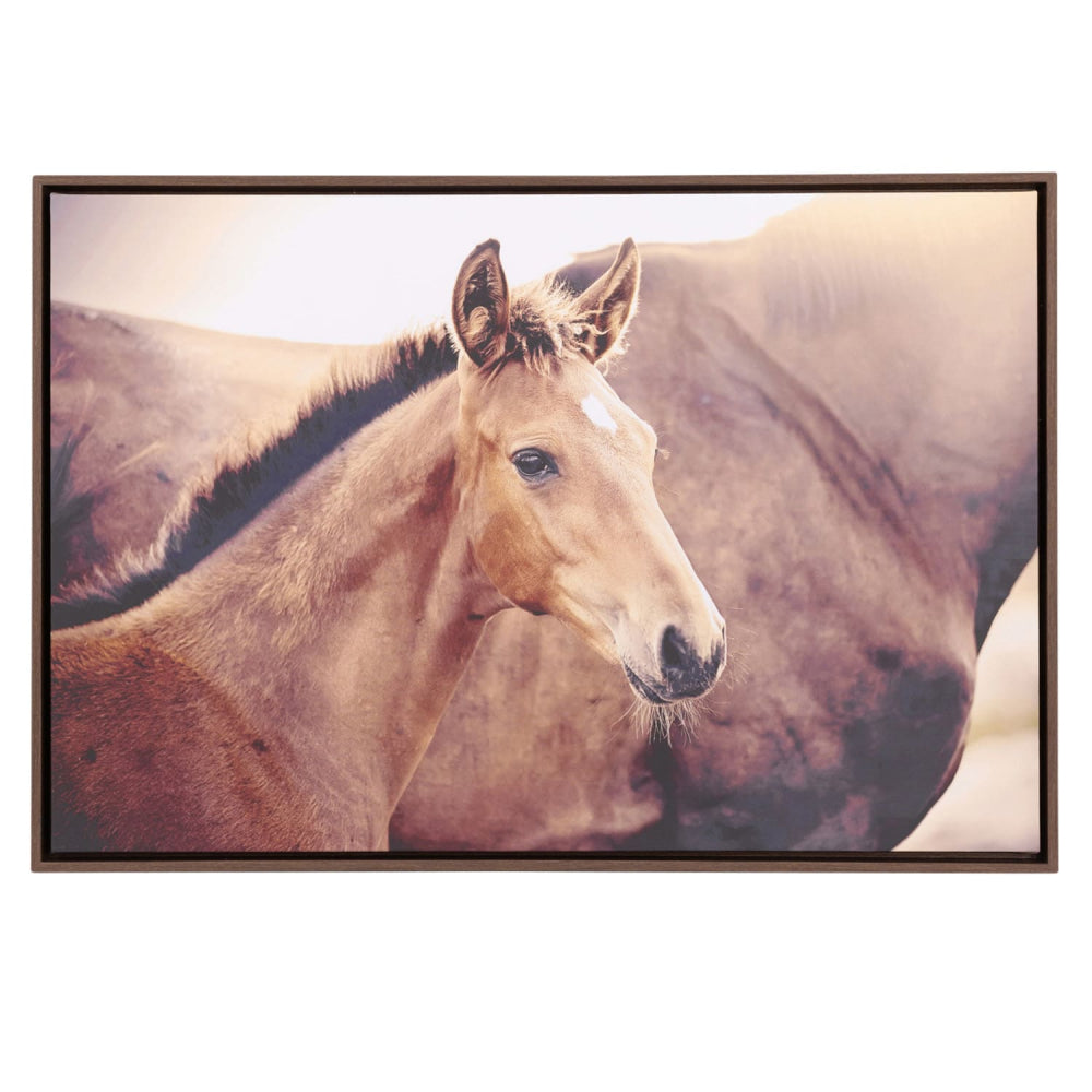 Rustic Meadow Horse Framed Canvas 94x64