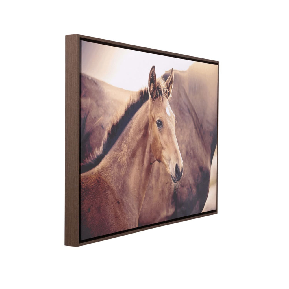Rustic Meadow Horse Framed Canvas 94x64