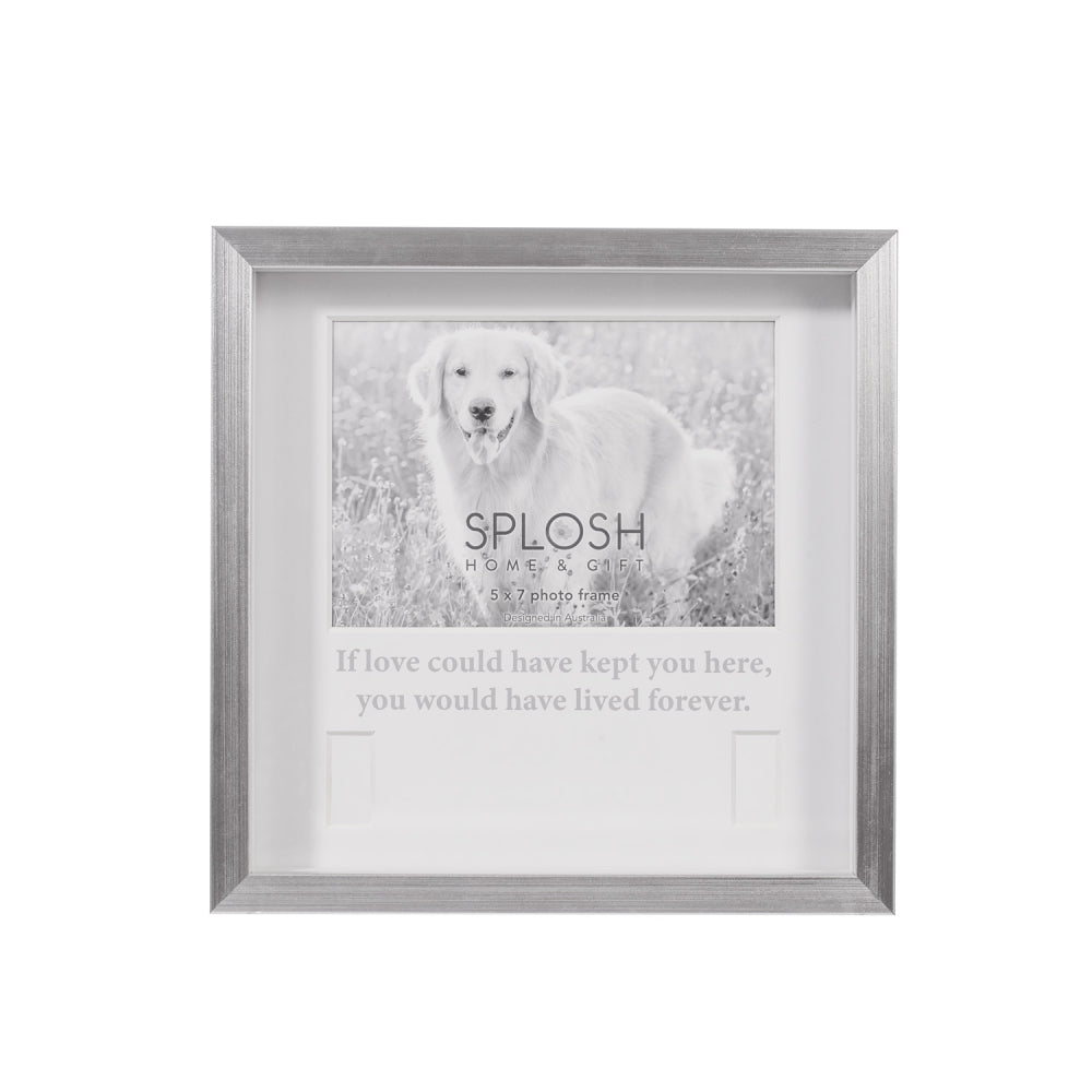 In Loving Memorial Pet Collar Frame