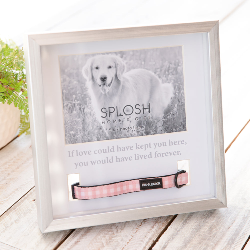 In Loving Memorial Pet Collar Frame