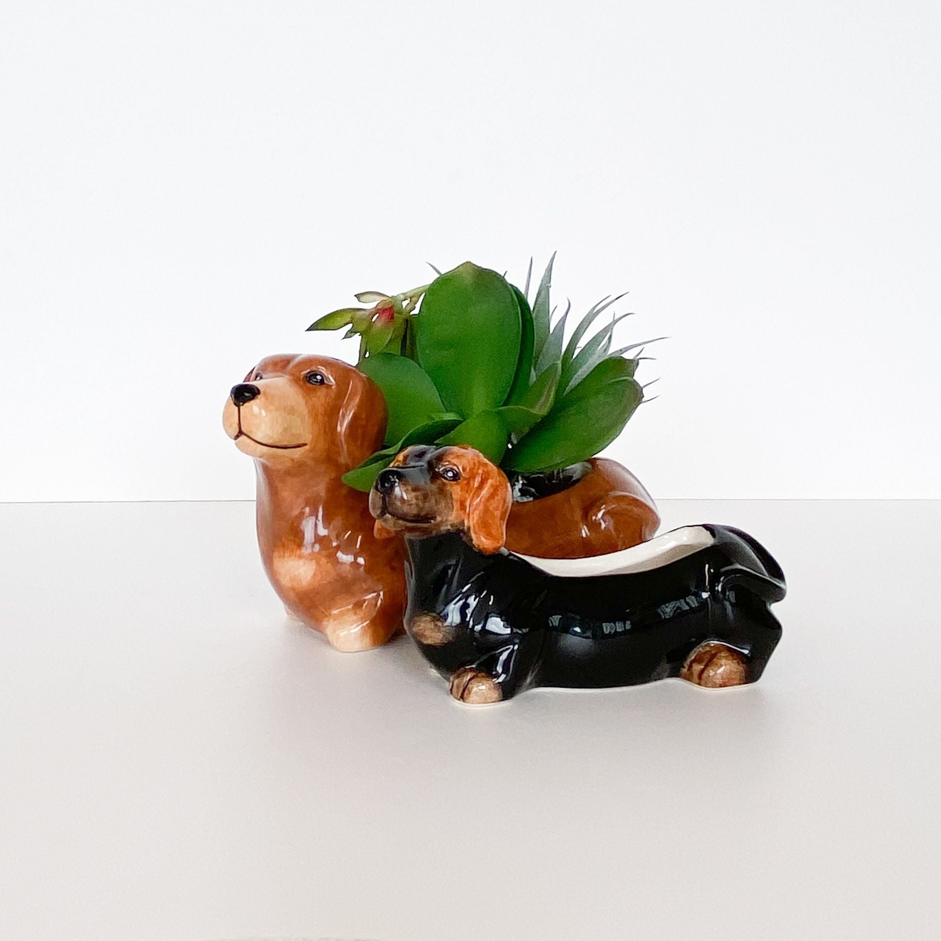 Dachshund Planter - Brown (20cm)